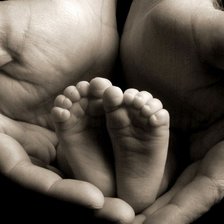 Схема вышивки «жизнь»