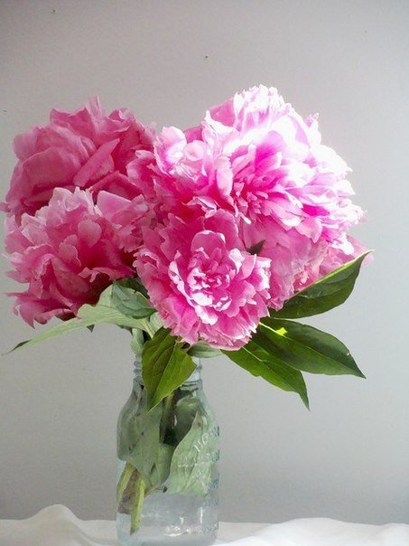 №160982 - оригинал