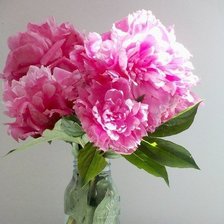 Схема вышивки «№160982»