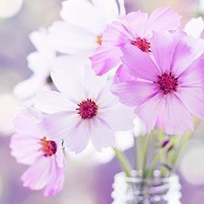 Схема вышивки «№160987»