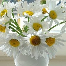 Схема вышивки «№160998»