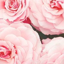 Схема вышивки «№161015»