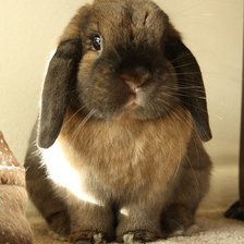 Схема вышивки «№161019»