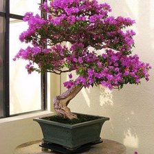 Схема вышивки «№161038»