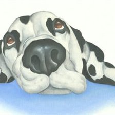 Схема вышивки «№161462»