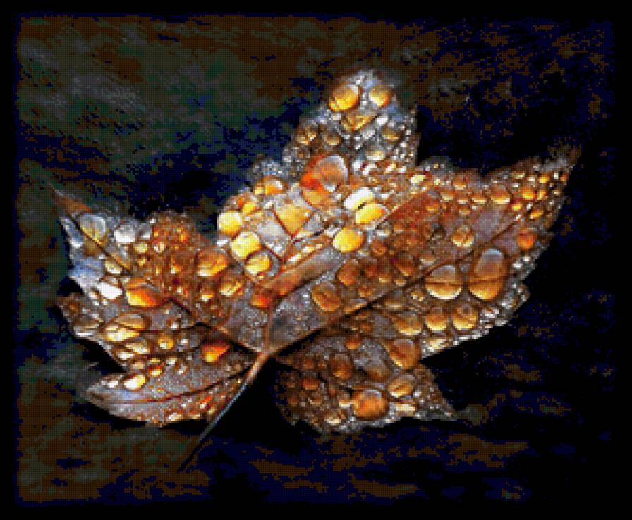 лист - листья, осень - предпросмотр