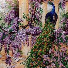 Схема вышивки «Пава»