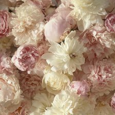 Схема вышивки «Пионы»