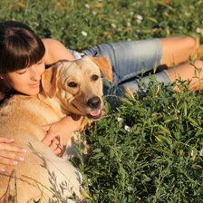 Схема вышивки «№161788»