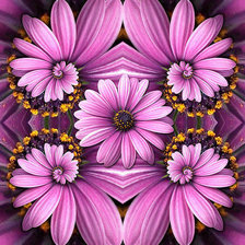 Схема вышивки «Фиолетовые ромашки»