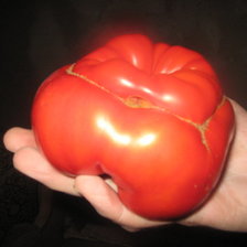 Схема вышивки «№161808»