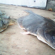 Схема вышивки «рыбы»