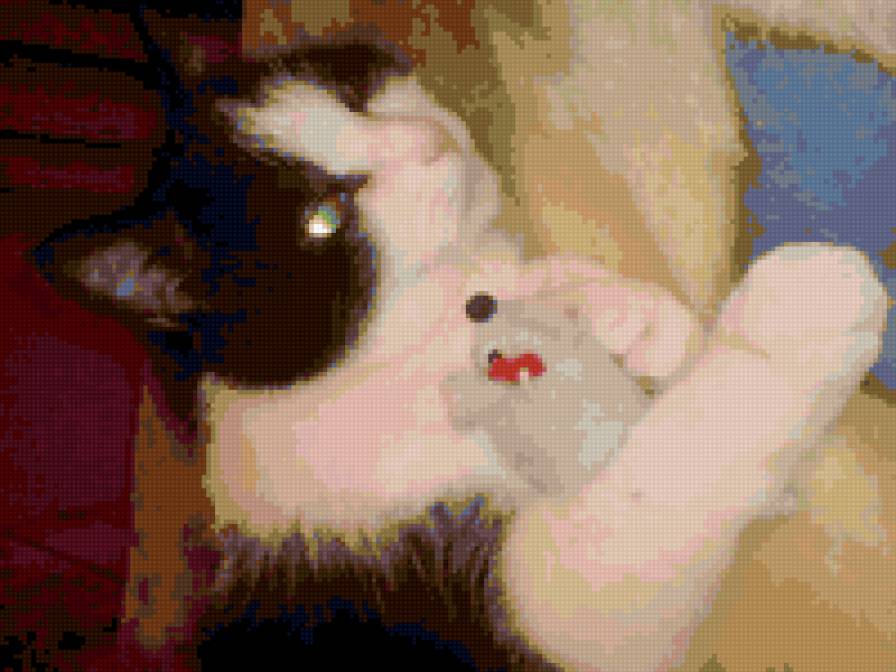 Вася - предпросмотр