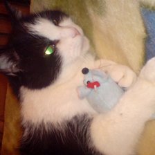 Схема вышивки «Вася»