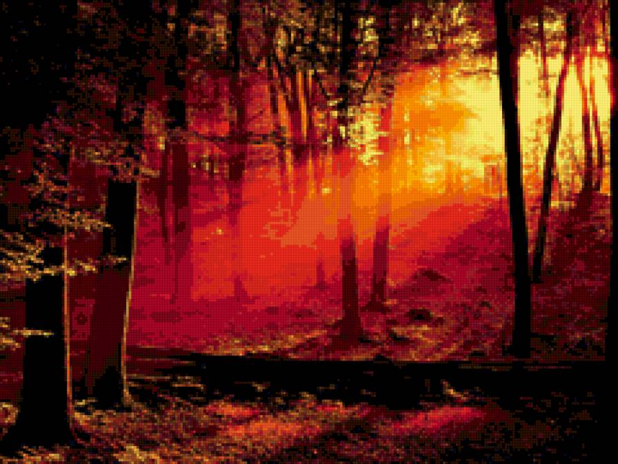 Закатный лес - деревья, лес, солнце, закат - предпросмотр