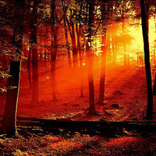 Схема вышивки «Закатный лес»