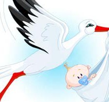 Схема вышивки «аист»