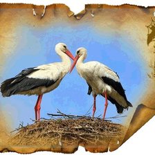 Схема вышивки «аисты»