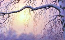 Схема вышивки «№162538»