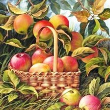 Схема вышивки «№162558»