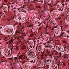 Схема вышивки «pink»