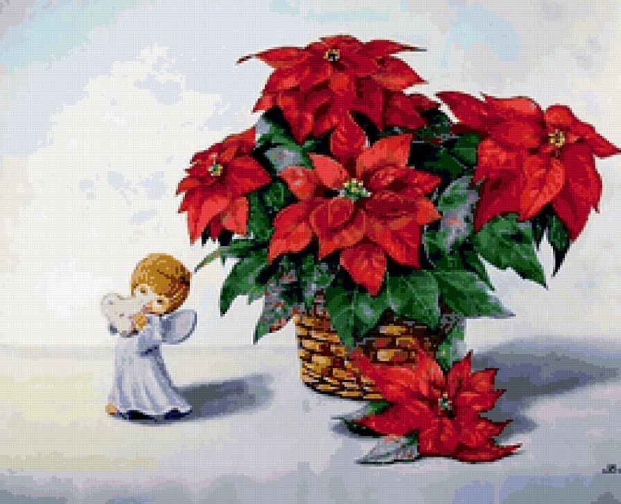 рождественская звезда - цветы - предпросмотр