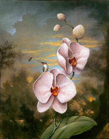 орхидеи - цветы - оригинал
