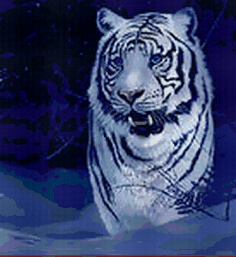 №162685 - тигр, хищник - предпросмотр