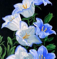 Схема вышивки «цветы»