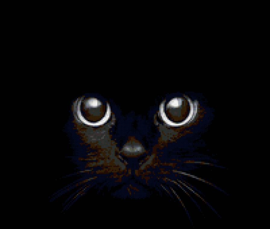 Черная кошка - предпросмотр