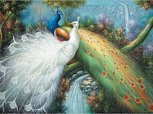 Схема вышивки «павлины»