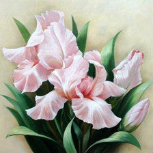 Схема вышивки «ирисы»