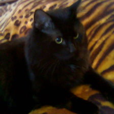 Схема вышивки «Марюша»