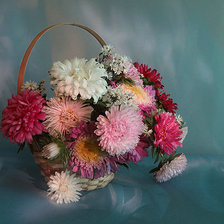 Схема вышивки «астры»