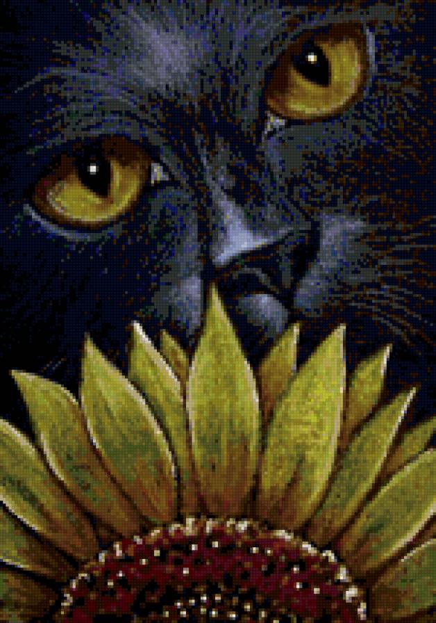 талисман - подсолнух..., кот черный - предпросмотр