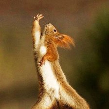 Схема вышивки «Дотянемся до звезд»