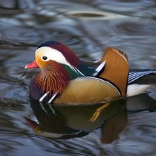 Схема вышивки «уточка»