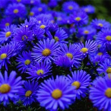 Схема вышивки «№163600»