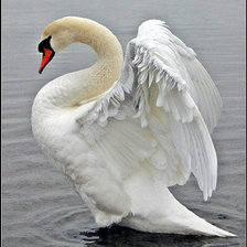 Схема вышивки «Лебедь»