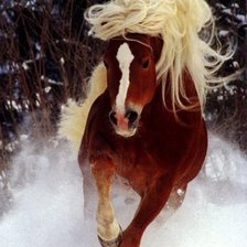 Схема вышивки «Жеребец»