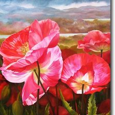 Схема вышивки «маки»