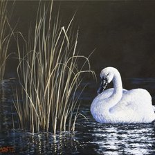 Схема вышивки «№163717»