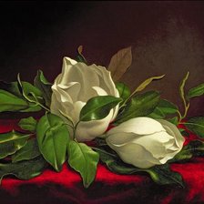 Схема вышивки «№163728»