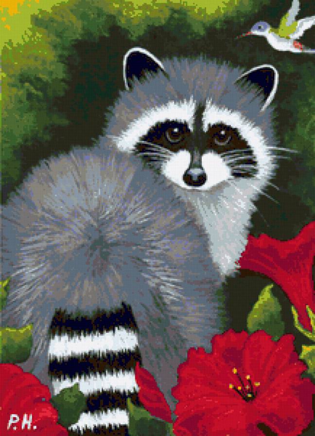 Енот - цветы, гибискус, животные, еноты, енот, зверушки, природа - предпросмотр