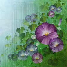 Схема вышивки «подушка Цветы»