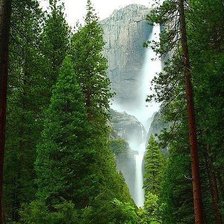 Схема вышивки «Лес»