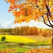 Схема вышивки «Осенняя пора»