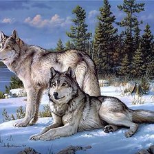 Схема вышивки «№163905»