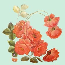 Схема вышивки «розы»