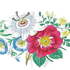 Схема вышивки «№164066»